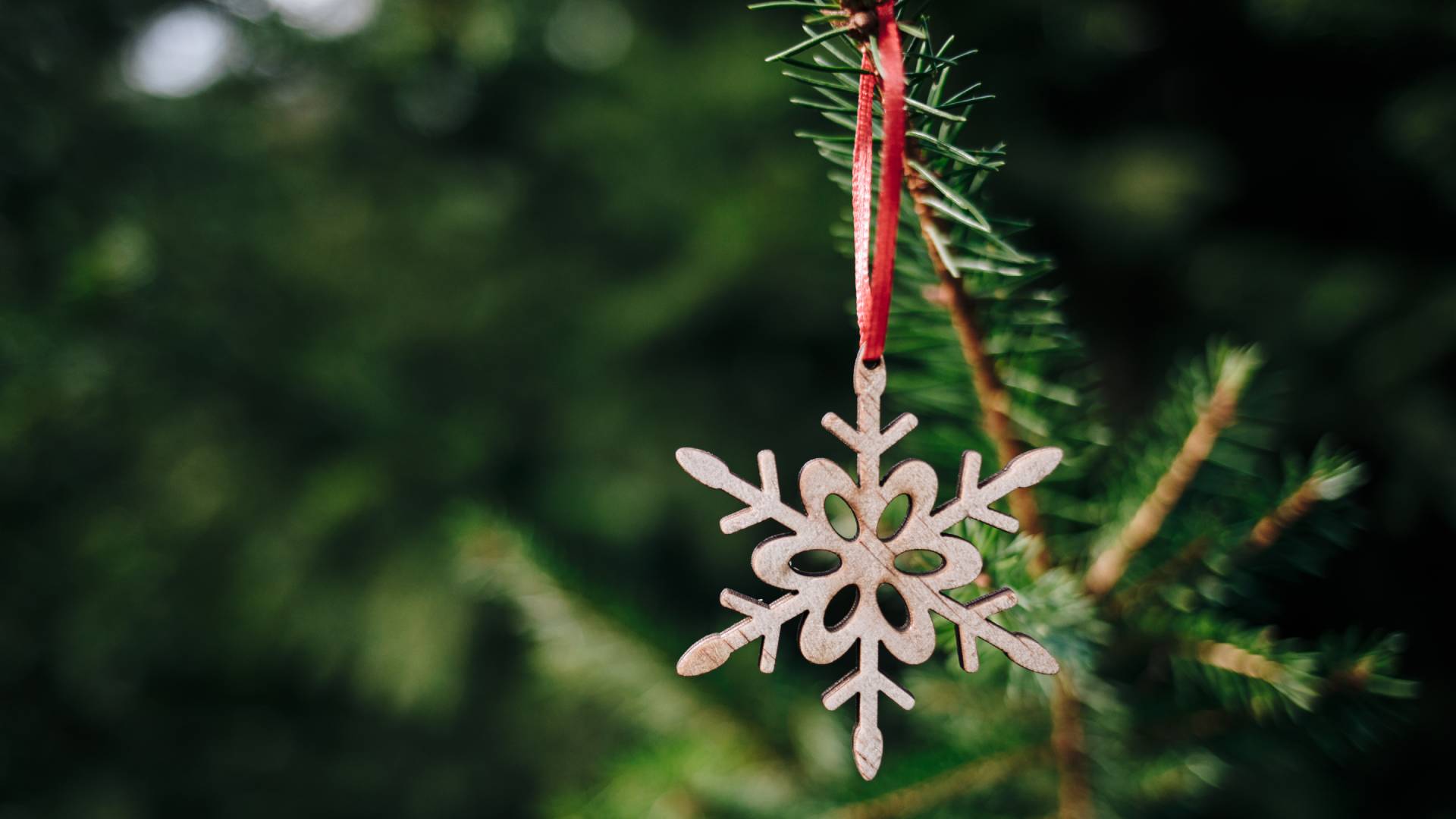 ¿TE AYUDAMOS A PREPARAR EL ÁRBOL DE NAVIDAD?