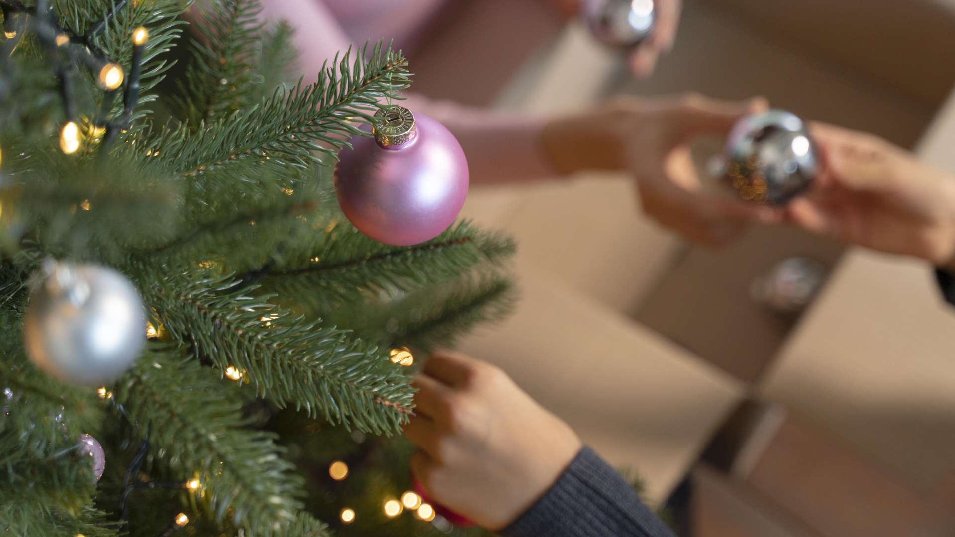 ¿Y AHORA, QUÉ HACEMOS CON EL ÁRBOL DE NAVIDAD?