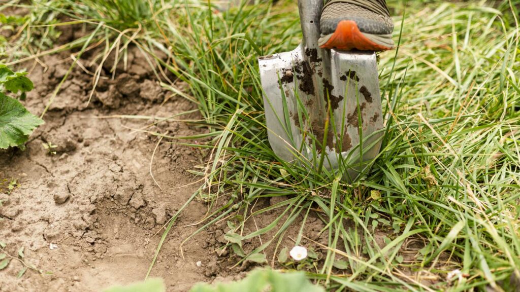 reparaciones_viver-jardin