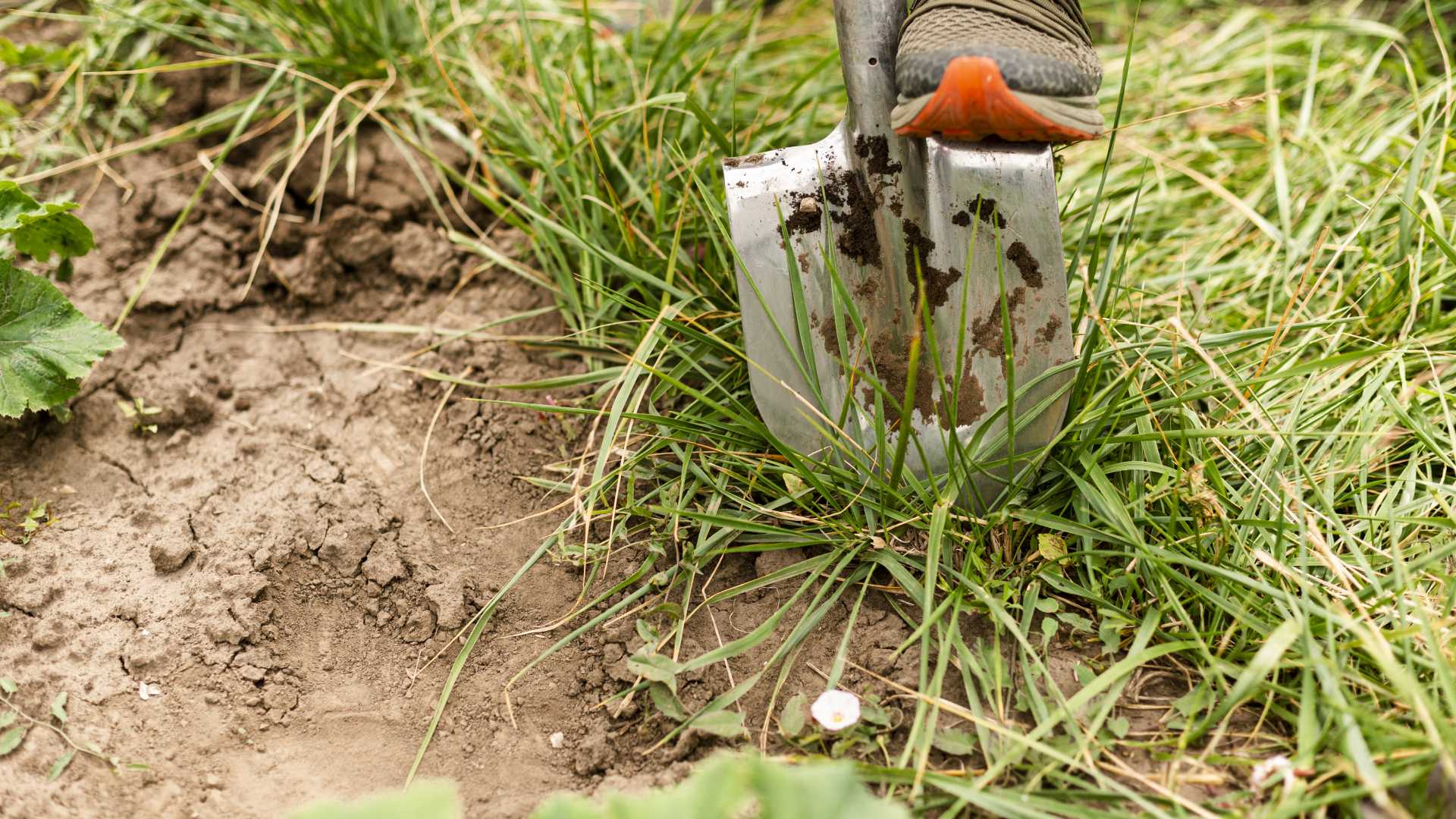 TRAS EL DURO INVIERNO, ¿TIENES UN DESPERFECTO EN TU JARDÍN? NOSOTROS TE AYUDAMOS