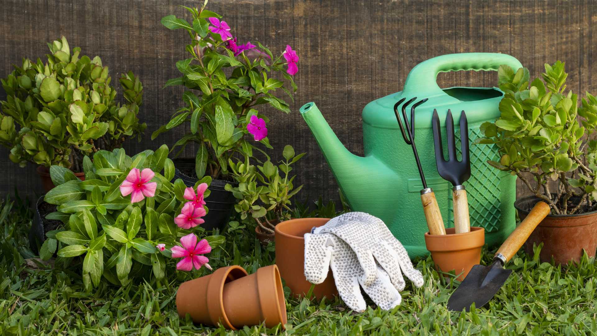 HERRAMIENTAS BÁSICAS QUE TENER EN CASA